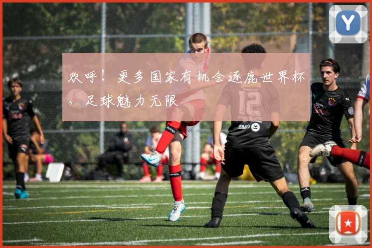 欢呼!更多国家有机会逐鹿世界杯,足球魅力无限